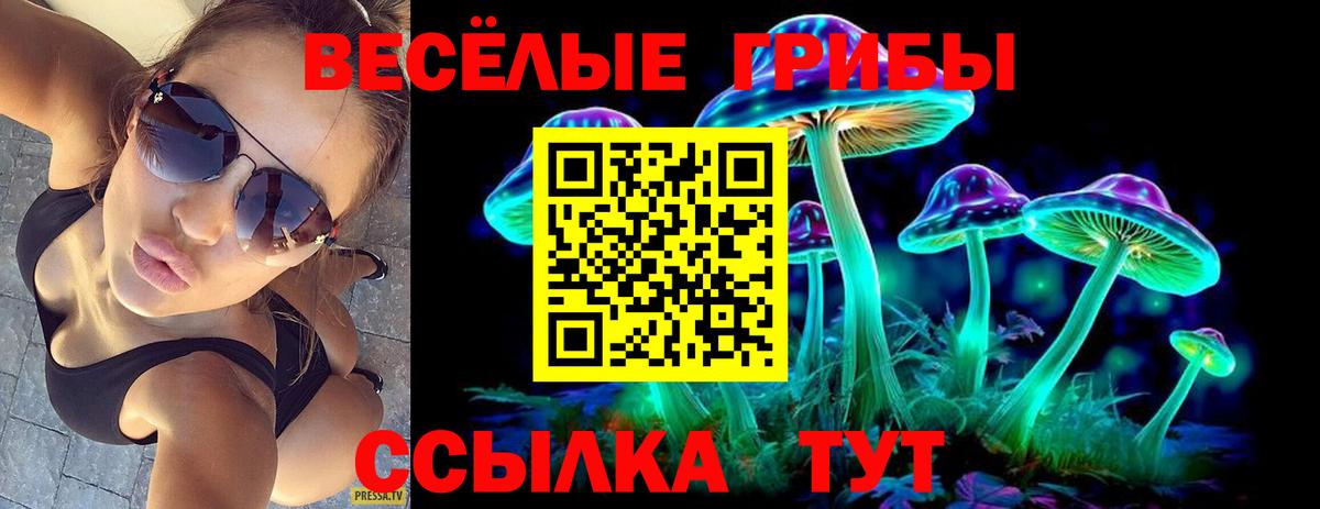 где купить   Вход с VPN  Псилоцибиновые грибы Magic Shrooms  Калининград  Галлюциногенные грибы GOLDEN TEACHER 